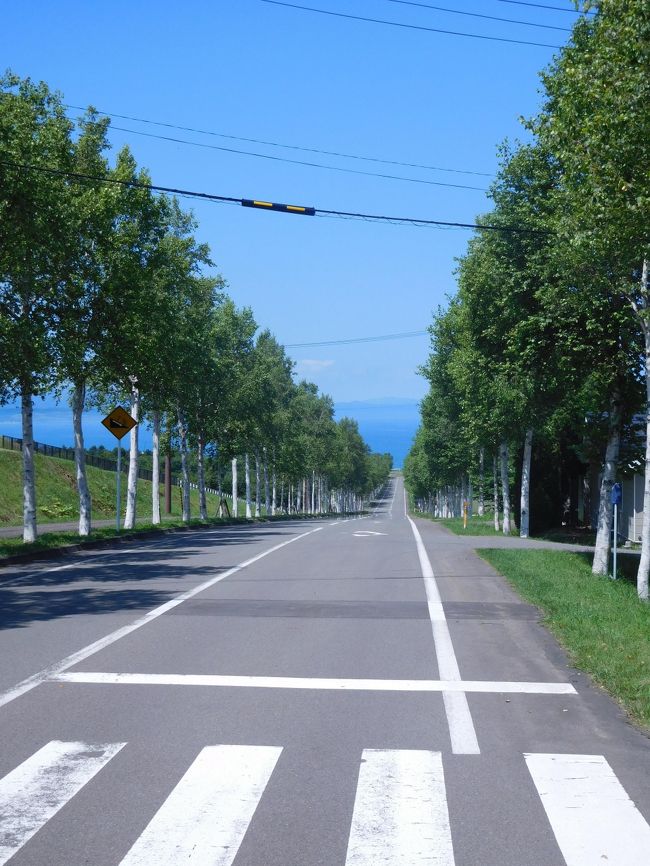 数年来ずっと行きたいと願っていた北海道へ、やっと旅することができた。<br />構想5ヶ月、齢50にして初の北海道旅!<br />仕事のやりくりをして火曜日から4泊5日の旅は、これまた初めて乗る北海道新幹線からスタート。<br /><br />「試される大地 北海道」<br />ハンドルを握り運転することそのものが楽しいひととき。<br />まずは初日の様子を!<br />新函館北斗駅から小樽の朝里川温泉までのルート。