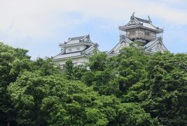 2018梅雨、福井の続百名城(1/10)：越前大野城(1)：豪雨の翌日、名古屋駅から越前大野へ