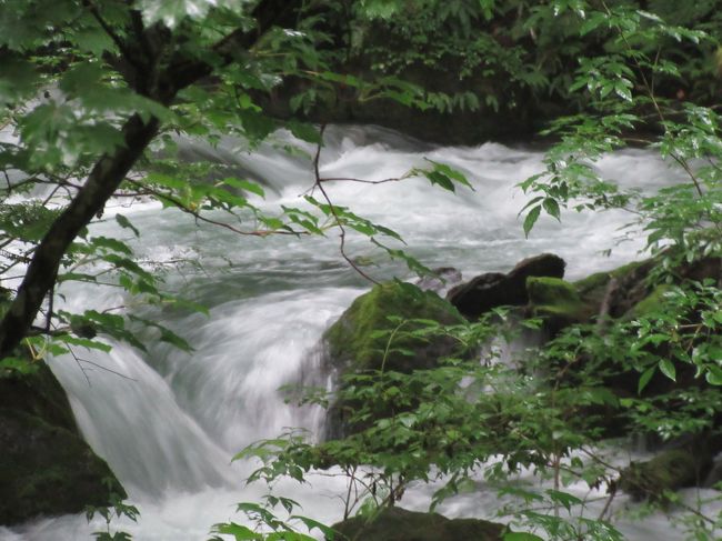 酷暑の街を離れて涼しい東北へ。<br />恒例の年1回の同級生旅行。<br />もう11回目。変わらぬメンバー男女7人のシニア旅です。<br />出会ってから何と49年も経ちました。(えーっ!書いて自分でビックリしてます!)<br />レンタカーで動きました。<br />青森から奥入瀬、十和田湖、乳頭温泉、平泉とかなりの距離を移動しました。<br />まずは奥入瀬に向かいます。やっぱり期待通り涼しかった!<br />宿泊は奥入瀬渓流ホテル。