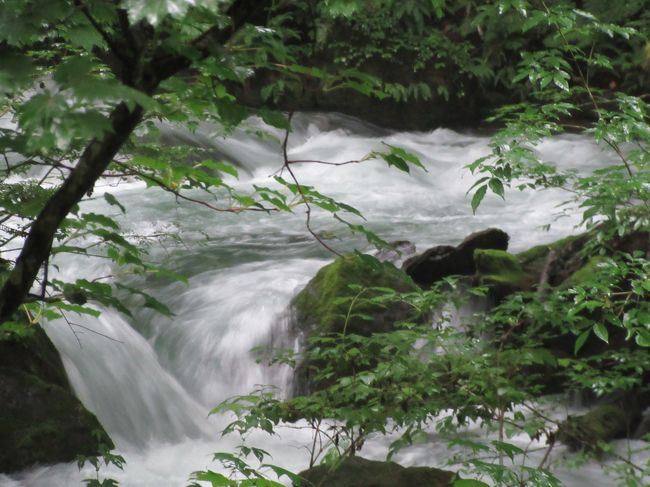 酷暑の街を離れて涼しい東北へ。<br />恒例の年１回の同級生旅行。<br />もう11回目。変わらぬメンバー男女7人のシニア旅です。<br />出会ってから何と49年も経ちました。（えーっ！書いて自分でビックリしてます！）<br />レンタカーで動きました。<br />青森から奥入瀬、十和田湖、乳頭温泉、平泉とかなりの距離を移動しました。<br />まずは奥入瀬に向かいます。やっぱり期待通り涼しかった！<br />宿泊は奥入瀬渓流ホテル。