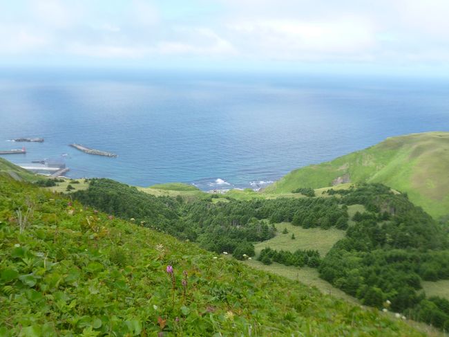 夏の北海道　　花の浮島と呼ばれる礼文島でトレッキング