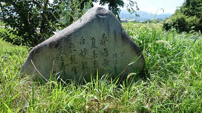 何のことやと文句も出そうな見出しです。奇を衒ったわけでは無く、単純に道中を辿るとそうなったと云うことで、その次第です。橿原市の元薬師寺周辺に植えてある、ホテイアオイを見物に行き帰路道中の温泉にでも入ろうと策して家を出ました。<br /> 橿原周辺の銀輪行では、藤原京跡に車を置きます。ここには愛想の良いガードマンがいて、「五時までに帰って下さい」「ホテイアオイはまだ早いかな」そして「暑いよ気をつけて」等と適切なアドバイスも。本日もその愛想に見送られて出立ですが、脇で何か発掘をしている。最近の報道で、唐三彩の破片が出土したと賑やかだったので覗いてみる。しかし、覗いても勿論何を掘っているのかちんぷんカンプン。脱サラする前の仕事では、遺跡発掘の広報をしていたこともあり懐かしい。技師によっては特定の社とつるんで、紙面での評価を上げようと画策する者もいて、各社平均と云うこちらの立場と良くバッティングしたものです。その発掘現場の向かいの醍醐池畔に何度か紹介しています犬養孝先生揮毫の万葉歌碑「春過ぎて夏来たるらし白たへの衣干したり天香具山」(持統天皇)があります。これが今回の「から」です。