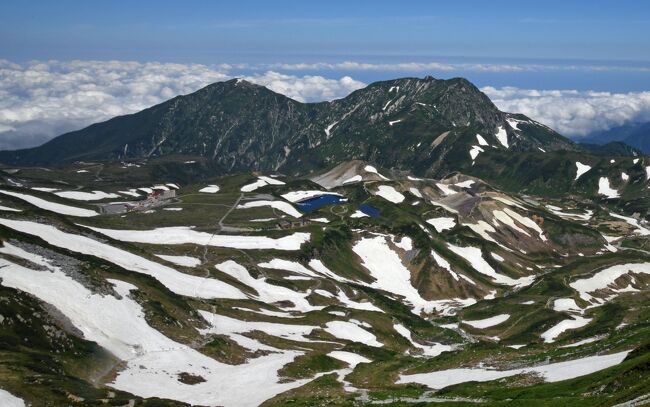 標高3000 m級の立山連峰の直下に室堂平が広がる。標高2450 m程度である。こんな山奥に立派なホテルが建っている。ホテル立山だ。運良く晴天が続くときに、ここに滞在でき、立山の自然を満喫した。立山に登るのは、高齢になってしまった私達には一仕事だったが、無事に達成した。眺望が素晴らしく、薬師岳から槍ヶ岳までの稜線もハッキリ見え、ここを旅した若い頃に思いを馳せた。ホテル立山のレストランでのディナーは、夕日を浴びた立山を眺めながらで、最高だった。星空観察会では宝石のような白鳥座２重星を初めて見た。ライチョウには２回お目にかかった。カヤクグリ、イワヒバリといった鳥たちも登場した。たくさんの雪渓が残り、高山植物も花開いていて、絶好の時期だった。