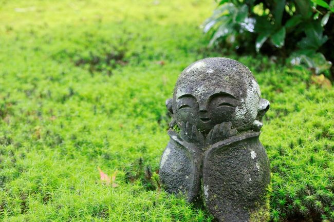 青もみじを求めて京都ひとり旅　（１）洛北・洛東のモミジの名所で緑に包まれた1日