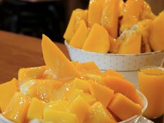 マンゴーを食べに台北に行こう！