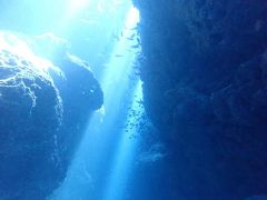 真夏の石垣島（８）竹富島、黒島ダイビング・太陽のスポットライトを浴びる洞窟やサメや小さな魚たちも