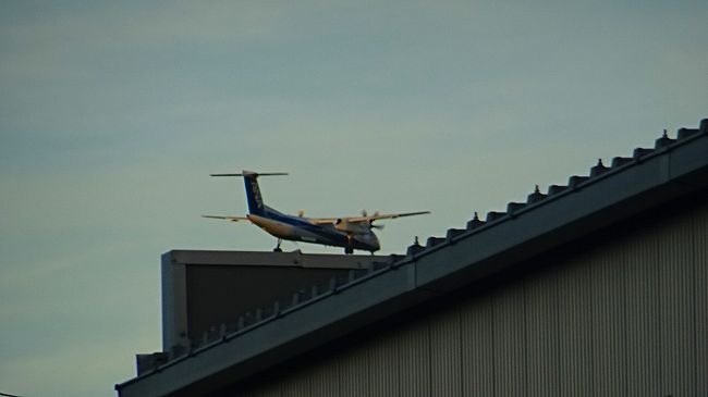 久しぶりに、南東からの風向きで、我屋の頭上を低空で滑走路に入る飛行機の撮影をしました。<br /><br />風向きが落ち着かず途中で、何時もの方角に代わりましたが、またすぐに反対からの着陸になり、忙しい飛行場になったようです。<br /><br />写真は、建物の上に留まっている感じの、着陸する飛行機。