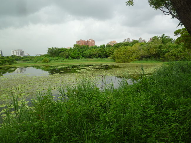 【写真】洲仔湿地公園<br /><br />高雄滞在記 2018/07/24-08/03<br /><br />・焼き餃子 高雄 2018/07/24<br />・洲仔湿地公園と蓮池潭を散策 高雄 2018/07/24<br />・妻と毛氏小館へ 高雄 2018/07/26<br />・立派なマンゴー 高雄 2018/07/28<br />・テイクアウトの炒飯 高雄 2018/08/02<br />・日本語を教えている生徒と劉家酸菜白肉鍋 高雄 2018/08/02<br />・妻が買ってきたスイーツ 高雄 2018/08/03