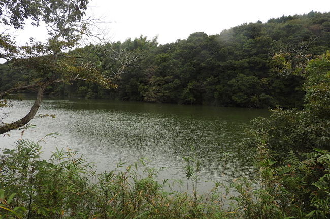 　水郷県民の森の中にある大膳池にバードウォッチングに行ってきました。<br />まだ、冬鳥の鴨類はマガモがきているだけで他の小鳥も見られず、ちょっと寂しいバードウォッチングになりました。<br /><br />表紙写真は、大膳池の風景です。