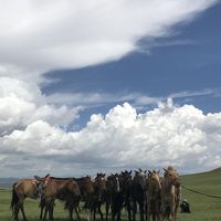大発見の初モンゴル！　～乗馬で草原を駆け抜けた8日間～