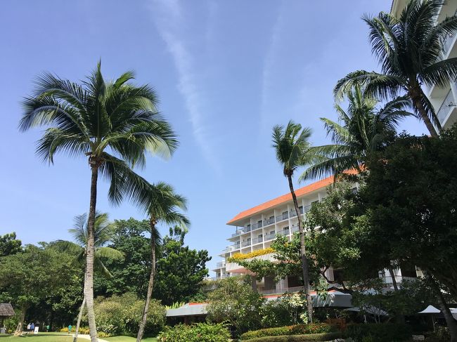 今年の夏休みは、昨年秋から手配していたセブ島へ。<br />(正確にはマクタン島)<br /><br />目的は、海でプカプカ、ビーチで読書&昼寝!<br /><br />ところが、出発前日の夕方5時頃、調子悪いという自覚から体温計を取り出し、37度5分!Σ(゚д゚lll)<br /><br />慌てて病院に駆け込み、処方された大量の風邪薬とともになんとか南国セブへ飛び立ちました。<br /><br />滞在中は自身の体調不良と夫の胃腸炎で、予定と異なるバカンスとなりましたが、それでも3度目のシャングリラはくつろぎのひとときを与えてくれましたよ^ ^