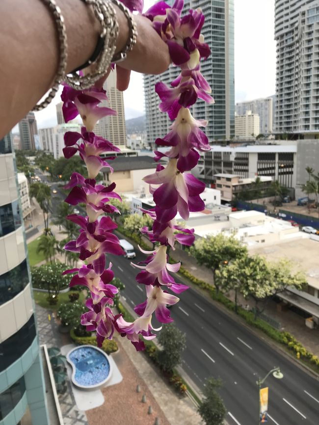 2018年5月Hawaii<br />これが最終章になります～～<br /><br />単に帰国するだけ御座いますが<br />イノウエさん空港に新しく出来た、第3ターミナル  の紹介と<br />機内での過ごし方など。。<br /><br />もう、水着投稿は有りませんので<br />ご安心してご覧下さいませ<br />笑笑<br /><br />kiki (^^)<br />