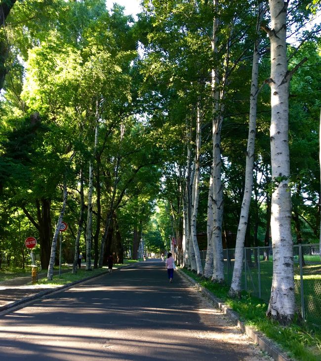 目的はグルメ！夏の北海道旅／札幌＆余市編