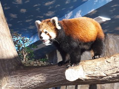 2018/8 栃木　那須高原旅行二泊三日