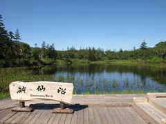 夏・神仙沼