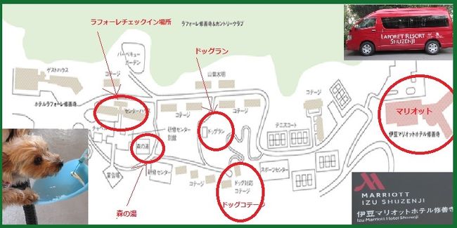 伊豆マリオットに2人で泊まる予定が、5人で犬も連れて行くことになり、伊豆マリオットとラフォーレ修善寺ペットコテージに分かれて宿泊。<br />★伊豆マリオット=ホテル<br />★ラフォーレ修善寺=合宿所だなあ。違いは大きいです。<br /><br />3人のラフォーレ宿泊分には追加料金払ってマリオットのラウンジと朝食付けました。夕食はBBQガーデンで。<br /><br />ラフォーレ修善寺敷地内には犬が泊まれる施設が3つ。お値段が高い順に、「伊豆マリオットドッグフレンドリールーム」、「ラフォーレ修善寺山紫水明ドッグルーム」、「ラフォーレ修善寺ペットコテージ」。高い順が人気順で室数が少ない順です。今回は一番安くて人気の低い室数の多いラフォーレ修善寺ペットコテージ利用。直前でも空室あり、直前だと安くなっていました。2L(K=台所はない)で和室2つの広々した2階建てのアパートって感じで、広いです。<br /><br />ラフォーレ修善寺ペットコテージは他のペット施設と違って、部屋にペットを置いて出かけてもよいし、室内風呂場の洗い場で犬を洗ってもよい。犬にとっては広い部屋で他の犬とのストレス無し、ドッグラン、散歩道沢山、でのびのび、と天国です。<br /><br />画像は広いラフォーレ修善寺敷地内の案内図です。ホテルのページをアレンジしました。<br />