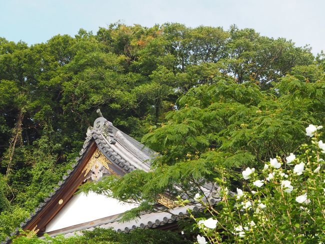 満光山 清月院 来迎寺（まんこうざん しょうがついん らいこうじ）<br /><br />時宗　10:00 - 16:00<br /><br />神奈川県鎌倉市西御門1-11-1<br /><br />鎌倉で最も美しい仏像に会えるお寺<br />だったのですが・・<br /><br />伺った日は　予約無しでした・・・<br />従って　ご住職様はご不在。<br /><br />如意輪観世音菩薩像は<br />練った土で作った紋様を貼り付けた<br />「土紋」の装飾<br /><br />「鎌倉で最も美しい仏像」と言われています。<br /><br />もう後から予約しないで行った自分を悔しがりましたが・・<br /><br />体調から　予め　予想出来ない旅が毎度なので<br />今回は諦めました・・・!<br /><br />鎌倉には「来迎寺」と呼ばれるお寺が二つあります。<br /><br />西御門　にしみかど　と材木座　にそれぞれ建っています。<br /><br />住所が幕府の西門があった場所と言う事で<br />でこのあたりが西御門（にしみかど）という地名になっています。<br /><br />1293年に発生した鎌倉大地震<br />辺り一帯の被害が甚大であったそうです。<br /><br />その亡くなった村人達を供養するために<br />一遍　僧侶により創建された寺院<br /><br />死者が2万3千人余り・・・<br /><br />大慈寺や建長寺が倒壊した被害。<br /><br />地震の後の　世の中が乱れているさなか<br /><br /><br />鎌倉幕府執権　北条貞時が<br />幕府内で専横をふるっていた平頼綱父子を討伐した<br /><br />平禅門の乱も起こりました。<br /><br />御朱印<br /><br />阿弥陀如来　ご本尊<br />鎌倉十三仏霊場　阿弥陀如来<br />鎌倉三十三観音霊場　如意輪観音<br />鎌倉二十四地蔵尊霊場　岩上地蔵尊<br /><br />本堂<br />不定期な　本堂案内休止されいるとの事ですので<br />事前に電話予約された方が良いですね。<br /><br />撮影自由（本堂内撮影禁止）<br /><br /><br /><br /><br /><br /><br />