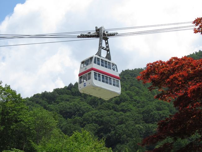 今回の新穂高温泉2泊3日の旅は「谷旅館」と「深山荘」に泊まるのも目的でしたが「新穂高ロープウェイ」乗車も大きな楽しみの一つでした。<br />今まで乗った事がなかった日本で唯一の２階建てロープウェイ。<br />例年なら「梅雨明け十日」の晴天に恵まれるだろうと踏んで8月あたまに旅行を計画。<br />ちょっと雲が多くて快晴の絶景とはいきませんでしたが、温泉街の酷暑とは全然違う山頂の涼風と周囲の山の景色に癒されました。<br /><br />