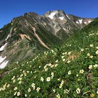 2018夏　北アルプス 唐松岳ー五竜岳縦走～絶景のお花畑と雪渓歩き・五竜山荘に泊まる週末旅～