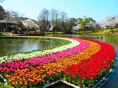 桜とチューリップの祭典　＠浜松フラワーパーク