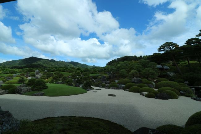 いよいよ島根県突入です。<br />関東某所から車で来てます(笑)<br />お金のために無謀で無駄な長距離運転で島根県までやって来ましたヽ(ﾟ∀ﾟヽ)ﾄｳﾁｬｸ<br /><br />島根県ではいくつか見たいもの行きたいとこあるんですが、まずは足立美術館♪<br />ミシュラン3つ星の実力をぜひこの目に刻んでおきたい♪<br /><br />島根県安来市出身の実業家で足立全康さんが郷土の為にと作った美術館。<br />なんと言っても枯山水庭園と横山大観の作品が見所の美術館でして、近代日本絵画が自慢なのだそう。<br />ミシュランガイドでも3つ星ということですから、海外からの評価もそれはもう高い。<br />期待値が勝手に上がる(笑)<br /><br />だども入場料は2300円もするんかぁ！？<br />結構すんな…。<br />さすが足立美術館。<br /><br />でもですね、前評判に違わぬ素晴らしい作品の数々。<br />特に借景の庭園、白砂青松庭が素晴らしく。<br />写真撮りまくり(ﾟДﾟ*)ｨｪｰｨ！<br />美術館には1500点もの絵画や作品を収蔵していて、季節ごとに展示内容を変えているんだとか。<br />秋には横山大観の「紅葉」が見られるそう。<br />胸いっぱいの足立美術館でした。<br /><br /><br />大満足ついでに、近くに月山富田城跡があるみたいなので、ちょろっと寄ってみる。<br />月山富田城とは、戦国時代の稀代の謀将尼子経久の居城だった城。<br />毛利元就のライバルね。<br />私の行きたいところ、全部行ってみるがテーマなので、かなりの満足感。<br />そして疲労感(笑)<br /><br />あぁ島根県良いところ♪<br />見所いっぱい♪