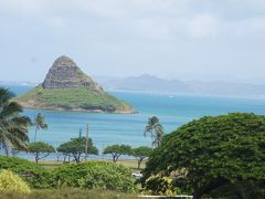 夏休み’18は初ハワイへ！【子連れのクアロアランチ編】