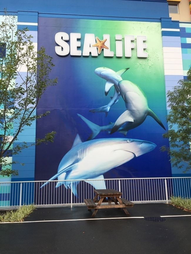  長い休みの定番のお出かけ。<br /><br />今回は、レゴランド・ジャパンの水族館「シーライフ名古屋」に行ってきました。