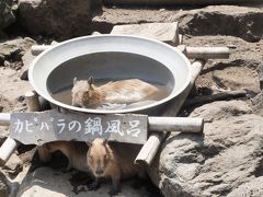 久しぶりに南へ遠征　in　熱海④　～本日、『伊豆シャボテン公園』へ中編～