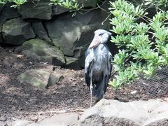 久しぶりに南へ遠征　in　熱海⑤　～本日、『伊豆シャボテン公園』へ後編～