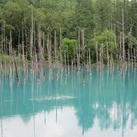 初夏の北海道旅行・４日目・富良野のラベンダーと美瑛をドライブ