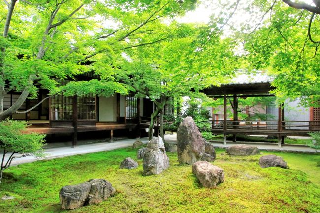 青もみじを求めて京都ひとり旅　（３）早朝の清水寺と街歩き＆洛東の青もみじ鑑賞