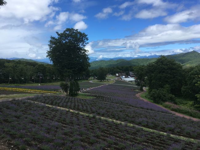 たんばらラベンダーパークと吹き割の滝　バスツアー