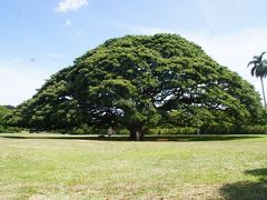 夏休み’18は初ハワイへ！【サンデーブランチ、モアナルアガーデンのピクニック】