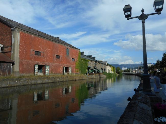 4年ぶりの北海道!<br />そして、北海道は9回目です。<br /><br />食べ物もビールも美味しいし、自然がいっぱいだし、見るところも多いし、涼しいし・・・<br />そして、貯めたマイレージで、飛行機代はタダだし、北海道大好きです。<br /><br /><br />北海道に一週間の旅ときくと、<br />あちこち見て回ったと思われるかもしれませんが、<br />北海道の主な観光地は、すでにほぼ行ってしまったので、<br />今回はひとつのホテルに滞在して、ゆっくりのんびり楽しむことにしました。<br />年齢的にもそういうお年頃なのです。<br /><br />今回もレンタカーは借りていません。<br />車は持ってなくて、普段車に乗らないので、運転は疲れると夫が言うので・・・<br />(私はペーパードライバー)<br /><br />このような↓日程で過ごしました。<br /><br />1日目 移動のみ<br />2日目 余市と小樽<br />3日目 豊平峡ダムと豊平峡温泉<br />4日目 円山動物園<br />5日目 北海道植物園<br />6日目 北海道開拓の村と中島公園<br />7日目 移動のみ<br /><br /><br />7日間のうち、2日間を移動だけに使うなんて贅沢ですが、<br />乗り物に乗るのだけでも疲れるんです;;;<br />・・・ってまだ50代なんですが。<br />