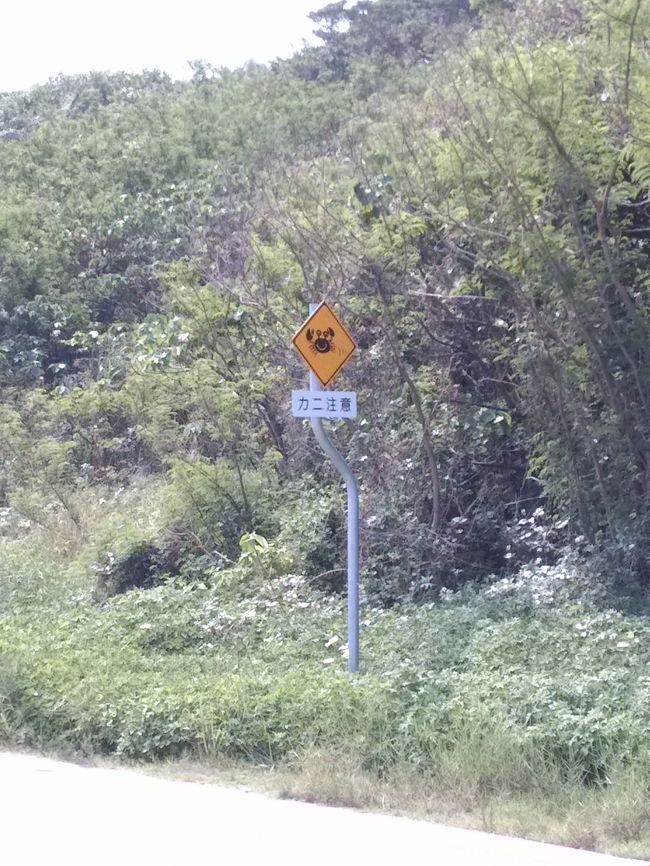 さて、引き続き沖縄旅行第3編、瀬長島編です。<br /><br />①行き帰りの飛行機編<br />②首里城編 <br />③瀬長島編 ←イマココ<br />④沖縄本島北部ダイジェスト<br /><br />今回は後編の「②南側の海とウミカジテラス」です。<br /><br />飛行機を見終えたので、島を残り半周して海でばちゃばちゃしてからウミカジテラスに行き、何を食べるか飲むか足湯で悩みながらまったりしました。