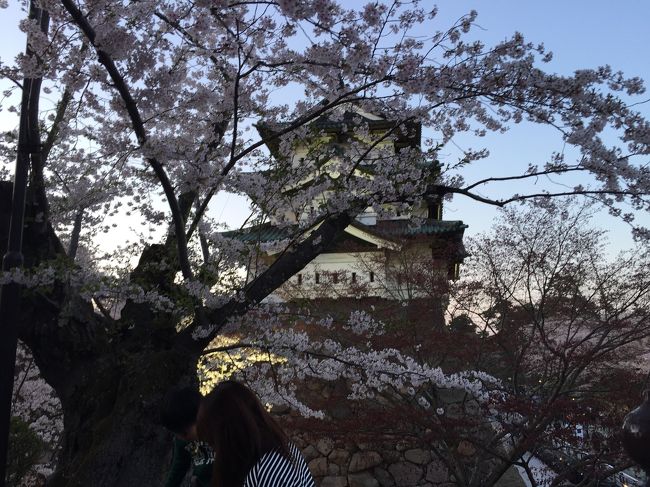 仕事関係で青森県弘前市へ。<br />桜の満開とぴったり日程が合ったので、夜は地元の方に、夜桜見物・花見に連れて行ってもらいました。