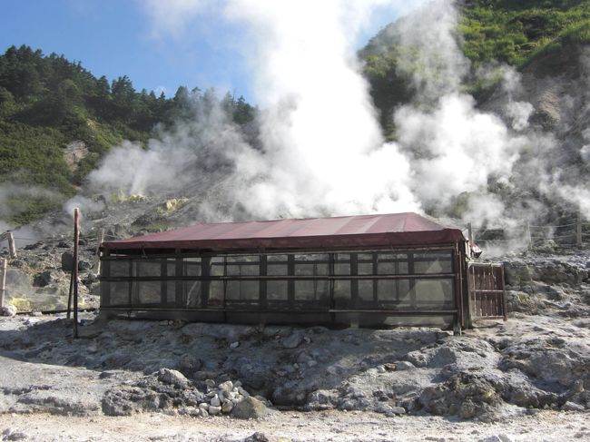 関西地方からは交通アクセスがいまいちの玉川温泉、貯まったマイルを利用して伊丹から秋田まで飛びエアポ－トライナ－で田沢湖駅まで、そこからは路線バスを利用して玉川温泉に到着。<br />朝9時に出発して玉川温泉に到着したのは午後4時35分、日本国内の旅だけどヨーロッパに到着するのと変わらないぐらいの時間がかかってしまって苦笑。<br />連泊して野外の岩盤浴、八幡平山頂、新玉川温泉と行きました。<br />野外の岩盤浴、8月に入ったばかりなのに既にトンボが飛び交い朝夕は涼しく関西の酷暑から暫く抜け出す事が出来ました。<br />玉川温泉は昔のままの雰囲気を残し気持ちが安らげる素敵な宿でした。<br />