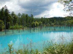 2018夏・北海道旅行②　～富良野・美瑛～