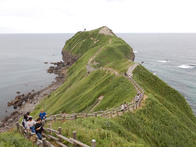 7月中旬に大きな仕事で土日出勤となり、その代わりの休暇をもらって3泊4日の北海道旅行。<br /><br />これまで足を踏み入れたことのなかった積丹半島を前半、後半は富良野美瑛の定番フラワーコースで旅行しました。<br /><br />この旅行記は前半。支笏湖から入り、積丹や余市を巡りました。