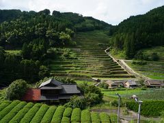 福岡旅行記その3　お茶と棚田と星空と、星野村