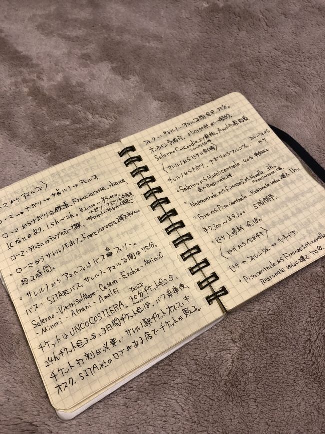 行きたい場所を決めたら、行き方と周り方を調べた。これが一番、準備の段階で苦労した。例えば、まず日本からフランスへ渡るには、よく利用するANAで行きたい。直行便の有無、羽田発の時間、飛行時間、フランスのどの空港に何時に到着するか、料金などを調べる。ヨーロッパ旅行については何も知らないので、ビザは必要か、サマータイムとは何か、など細かい情報も調べる。<br /><br />日本からヨーロッパはまだ簡単。例えばフランスのCDG空港からパリ中心部の、交通の便が良い駅であるGare du nord駅への移動手段、料金、時間、切符の買い方を調べる必要があった。パリでは地下鉄かバスが主要な交通手段で、地下鉄のシステム、乗り方、チケットの種類、注意点なども調べる必要があった。<br /><br />行きたい場所へ自由に行くために、そうやって8ヶ国全ての交通手段を調べに調べ、希望のルートを結んでいった。英語が喋れたら、いくらでも現地で聞きつつ行動できるだろうけど、わずかに聴けて話すことしかできない私たち夫婦にとって、この調べものは1ヵ月を生きる生命線の一つとなった。果てしなく長い課題ではあったが、全てが新鮮で楽しかった。