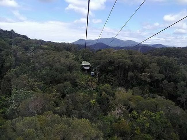 ケアンズ2日目はキュランダ鉄道に乗って<br />キュランダ観光に行きました。<br />帰りはスカイレールに乗って帰ります。<br /><br />ホストマザーのアドバイスで<br />市街のインフォメーションセンターで鉄道とスカイレールの<br />チケットを前日に予約しておきました。<br /><br />インフォメーションセンターのスタッフは<br />日本語を話せる人がいなかったので、<br />予約はドキドキものでした^^;<br />