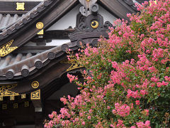 続・鎌倉四季物語【８月】～百日紅と芙蓉咲く古都へ～