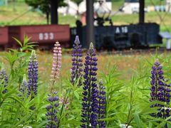 上砂川町の炭鉱遺産と旧上砂川駅（北海道）