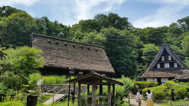 ６月最後の週に川崎市の生田緑地へ行って来ました。この広大な緑地にはバラ苑、美術館、自然観察路などの施設が充実し、すべてをじっくり見ようとしたら1日がかりでしょう。今回は民家園と岡本太郎美術館にしぼりましたが、半日ほど歩き回ったらクタクタに。日差しも強く、水遊びに興じる子供たちの姿が印象的でした。