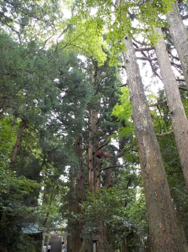 コスタの寄港地金沢では、白山ひめ神社へ行きました。金沢市内より北陸鉄道で鶴来駅まで出て、タクシーで向かいました。<br />