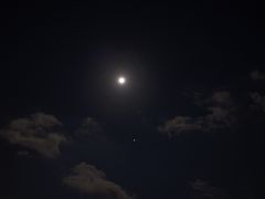 虫の音と月夜の巣ごもり　沖縄_2018