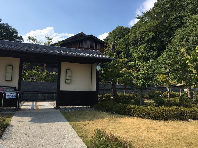 毎年この時期になると訪れるキャンプ地での夏休み。<br />いつも2泊以上は連泊して満喫するのですが、昨今のアウトドアライフブームにどうしても一泊しか予約が取れず、回避策として下呂温泉とコラボしてみました。<br />初日は、ゆったり名湯に浸かり温泉街の夜市や花火、2日目からはバンガローで、アウトドアライフを楽しみました!