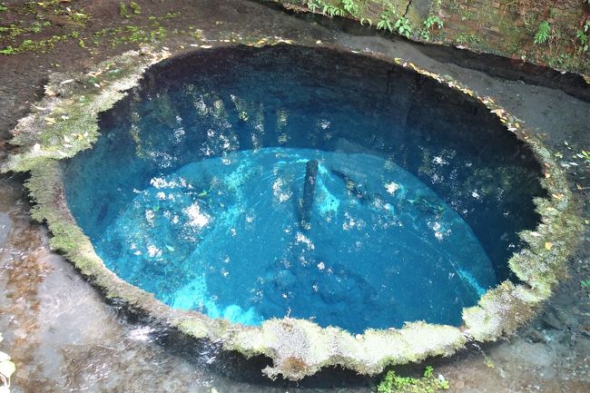 涼しくない水辺(これもシリーズ化？) 灼熱の三島VS雷雨の熱海〈三島独り歩きpart1〉