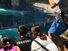 リニューアル上越市水族館良いぞ